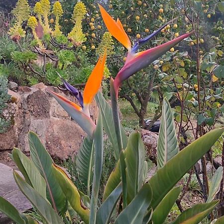 Villa Boheme Costa Brava كالونج المظهر الخارجي الصورة