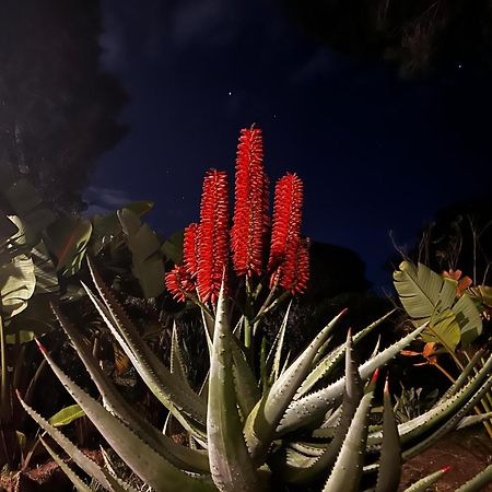 Villa Boheme Costa Brava كالونج المظهر الخارجي الصورة