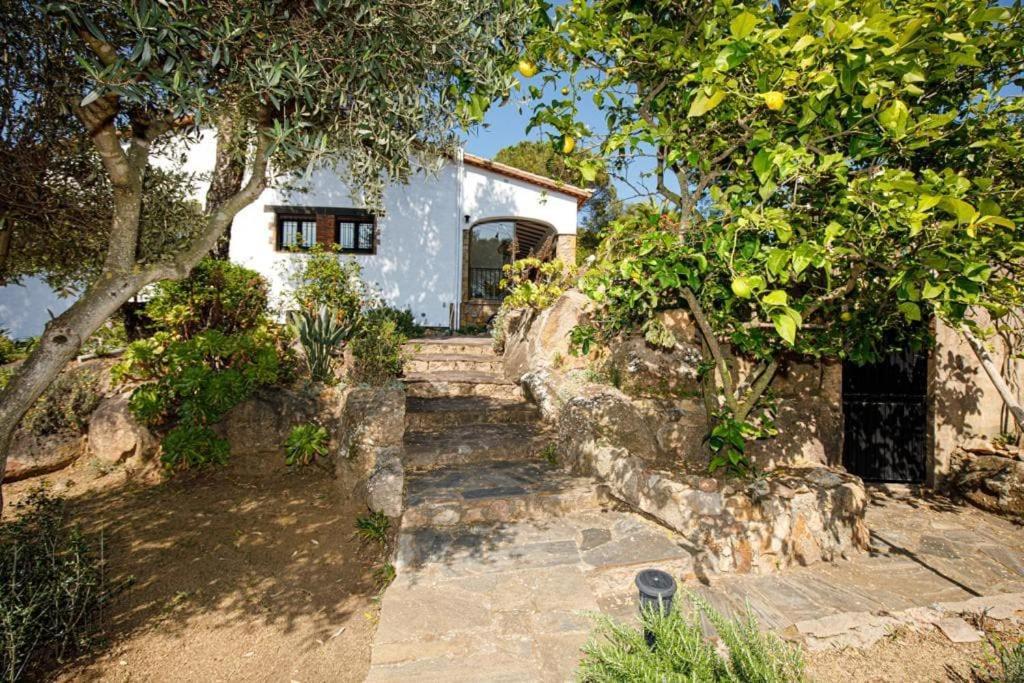Villa Boheme Costa Brava كالونج المظهر الخارجي الصورة