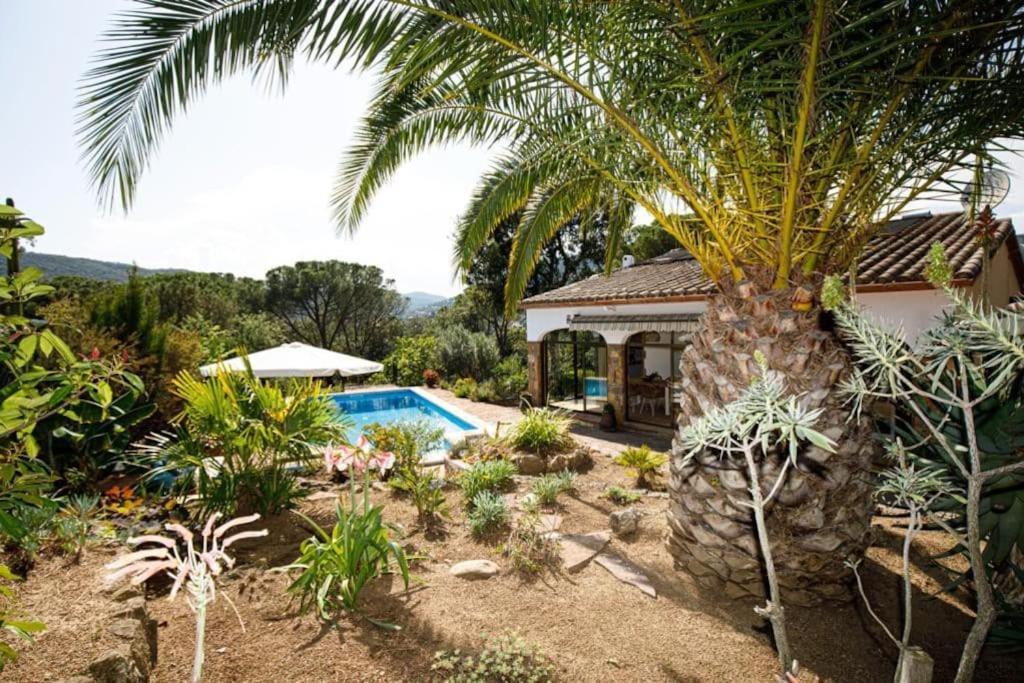 Villa Boheme Costa Brava كالونج المظهر الخارجي الصورة