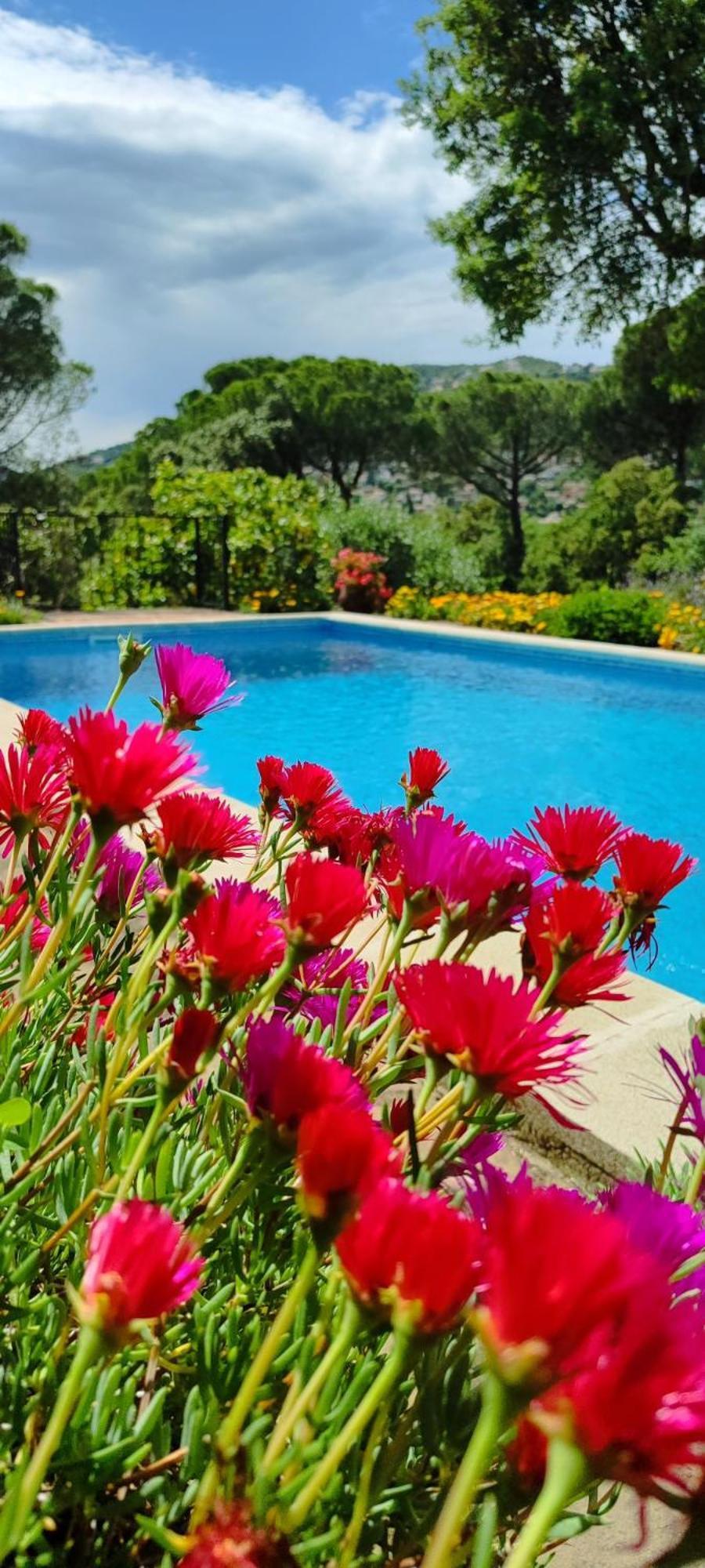 Villa Boheme Costa Brava كالونج المظهر الخارجي الصورة