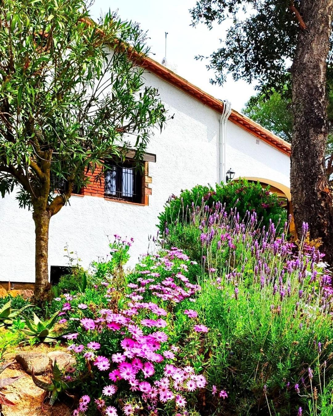 Villa Boheme Costa Brava كالونج المظهر الخارجي الصورة